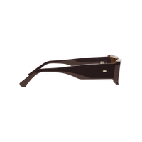 Concept 2 - Brown / Brown