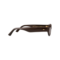 Gabriel II - Brown / Brown