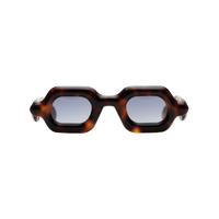 Pebble Havana Gold SX - Tortoise / Blue