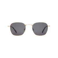 The Groove Pilot - Gold / Gray