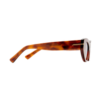 The Sofia - Tortoise / Brown