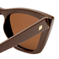 Velodrome - Brown / Brown