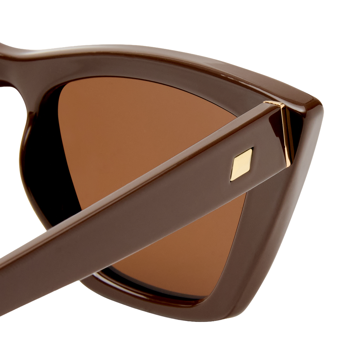Velodrome - Brown / Brown