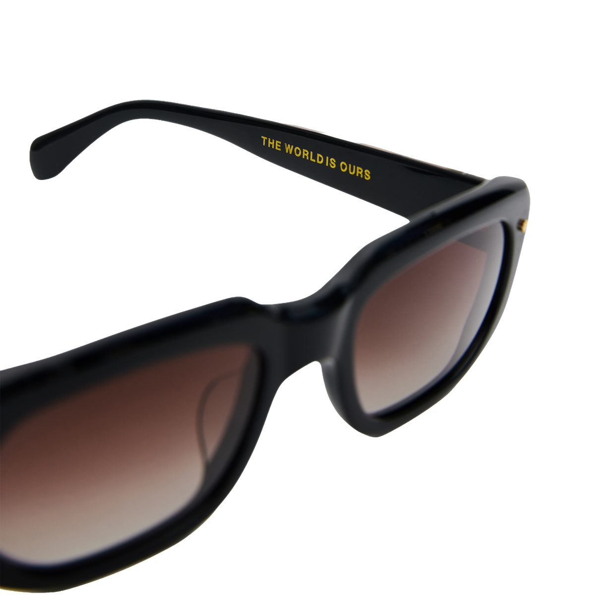 Vision - Black / Brown